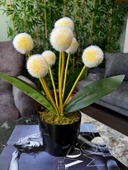 Nettenevime Yapay Çiçek Sarı Pompon Siyah Saksıda Dekoratif Yapay Çiçek 30*20cm - 1