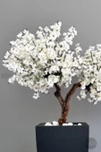 Bonzai gövdeli Beyaz Sakura Ağacı 100cm Dış Mekana Uygun - 8