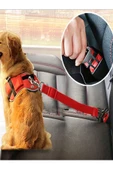Araba Siyah Kedi Köpek Araç Emniyet Kemeri Tasma Için Ayarlanabilir Araba Evcil Hayvan Oto Tasması - 1