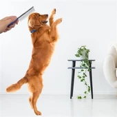 Petinka Tek Taraflı Metal Dişli Evcil Hayvan Bakım Fırçası Tüy Açıcı Kedi Köpek Tarağı - 9