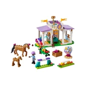41746 Lego Friends At Eğitimi 134 parça +4 yaş - 2