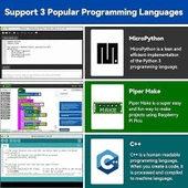 SunFounder Raspberry Pi Pico Ultimate Başlangıç Seti 450+ Parça - 3