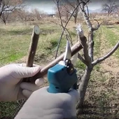 Proter PST 132 BL Akülü Kömürsüz Şarjlı Dal Budama Makası thumbnail 8