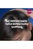 Elidor Superblend Şampuan Ve Bakım Kremi Kepeğe Karşı Etkili 2'si 1 Arada 400 ml X3 Adet - 6