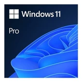 Microsoft Windows 11 Professional 64BIT Türkçe Oem FQC-10556 - 1