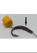 Renat Carp İğne Gizleyici Solucan - 2