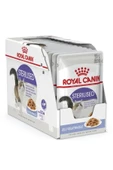 Royal Canin Strelised 37 Jelly Pouch Yaş Kedi Maması 12x85 Gr - 1