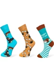 Me-vo 3'lü Çok Renkli Unisex Esnek Nem Alabilen Pamuklu Köpek ve Pati Desenli Soket Çoraplar thumbnail 1