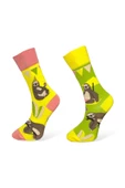 Me-vo 2'li Sarı Renkli Unisex Esnek Nem Alabilen Pamuklu Hayvan Desenlı Soket Çoraplar thumbnail 1