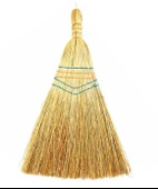 Çalı Süpürgesi - 1