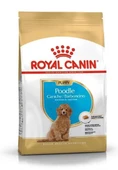 Royal Canin Poodle Yavru Köpek Maması 3 kg - 1