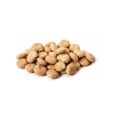 Acı Bakla ( Yahudi Baklası ) Termiye 500 gr, Derya Eren - 3