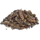 Karabaş Otu Kelle Kısmı Sapsız 100 gr, Derya Eren - 2