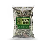 Sinirli Ot Damar Otu 100 gr, Derya Eren - 1