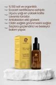 Esqulent Tıbbi Lavanta Uçucu Yağı - 5