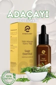 Esqulent Tıbbi Adaçayı Uçucu Yağı 10 Ml - 1