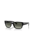 Ray-Ban    Rayban Mod.4388 C.601/71 Erkek Güneş Gözlüğü - 1