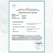 Tradescantia spathacea (İstiridye Telgraf Çiçeği) - 4