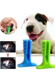 Köpek Diş Temizleyici ve Kaşıyıcı Küçük Boy Sağlıklı Oyuncak - 8