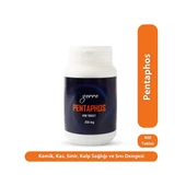 Zerre Doku Tuzu Schüssler Mineral Pentaphos 400 Tablet - 1