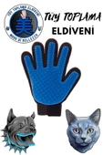 Kedi Ve Köpekler Için Tüy Toplama Eldiveni - 1