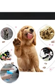 KÖPEK PATİ YIKAMA APARATI - 2