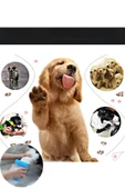 KÖPEK PATİ YIKAMA APARATI thumbnail 2