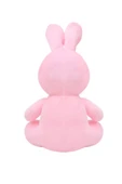 Miniş Kalpleri Fethedecek: 20 cm Peluş Tavşan - 4