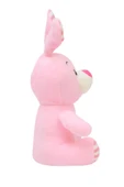 Miniş Kalpleri Fethedecek: 20 cm Peluş Tavşan - 3