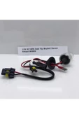 Mfk 12v H7 Eski Tip Beyinli Xenon Ampul 8000k - 4