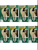 Sylvania 4,5W (35W) Endirekt 2700K (Sarı Işık) E27 Duylu Led Ampul (8 Adet) thumbnail 1