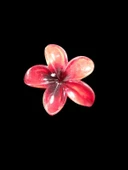 Kadın tekli büyük boy lotus çiçeği mandal toka Pembe - 1