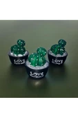 3 LÜ MİNYATÜR KAKTÜS BİBLO 6X6 CM - 2