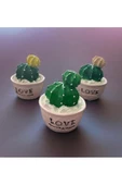 3 LÜ MİNYATÜR KAKTÜS BİBLO 6X6 CM - 5