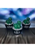 3 LÜ MİNYATÜR KAKTÜS BİBLO 6X6 CM - 3