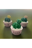 3 LÜ MİNYATÜR KAKTÜS BİBLO 6X6 CM - 3