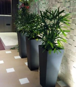 Nettenevime Fiber Saksı Antrasit Dik Dörtgen Vazo Dekoratif Saksı Fiberglas 25*25*50cm - 5