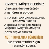 Siirt fıstığı kavrulmuş ana çatlak 1 kg - 3