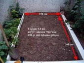 Green King Çim Tohumu 7' li Karışım İthal-10 Kg - 3