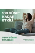 Elektrikli Oda Kokusu Kit Lavanta Cihaz + Yedek Şişe - Esansiyel Yağlar İçerir* - 4