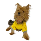 Sarı Sevimli Fare Kapşonlu Sweat by Kemique Köpek Kazağı thumbnail 5