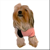 London Pineapple Kapşonlu Sweat by Kemique Köpek Kazağı - 5