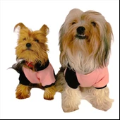 London Pineapple Kapşonlu Sweat by Kemique Köpek Kazağı - 2