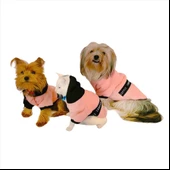 London Pineapple Kapsonlu Sweatshirt Kedi Süeteri Kedi Kıyafeti - 8