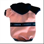 London Pineapple Kapsonlu Sweatshirt Kedi Süeteri Kedi Kıyafeti - 2