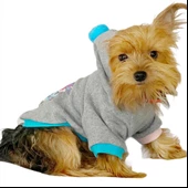 Kitty Grey Kapşonlu Sweat by Kemique Köpek Kazağı - 1