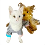 Kitty Grey Kapsonlu Sweatshirt Kedi Süeteri Kedi Kıyafeti - 7