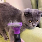 Petinka  Kedi 4.5 Kilo Üzeri Kısa Tüylü  Tüy Toplama Tarağı - 8