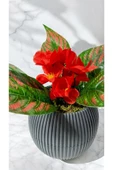DDPEST Yosunlu Saksıda Yapay ATATÜRK Çiçeği Bitkisi Kırmızı Yeşil Garnitürlü Gri Saksı Orta  Boy thumbnail 2