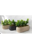 DDPEST 3 ' lü Dekoratif Yosunlu Yapay Çimli Saksı Takımı Canlı / Yapay Çiçek Saksıları - 2